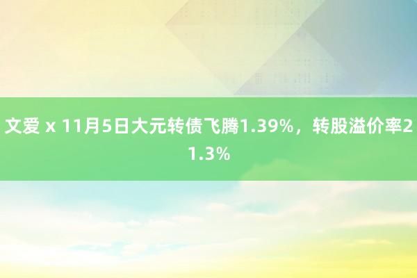 文爱 x 11月5日大元转债飞腾1.39%，转股溢价率21.3%