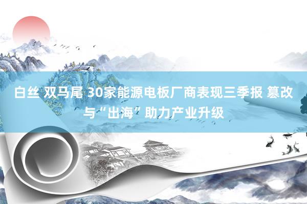 白丝 双马尾 30家能源电板厂商表现三季报 篡改与“出海”助力产业升级