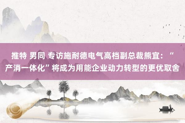 推特 男同 专访施耐德电气高档副总裁熊宜：“产消一体化”将成为用能企业动力转型的更优取舍