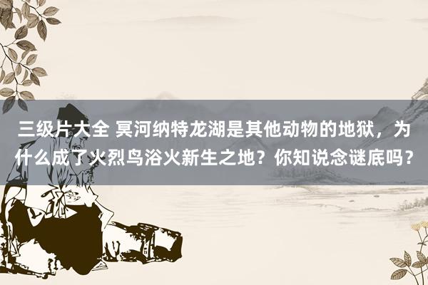 三级片大全 冥河纳特龙湖是其他动物的地狱，为什么成了火烈鸟浴火新生之地？你知说念谜底吗？