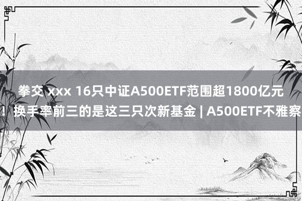 拳交 xxx 16只中证A500ETF范围超1800亿元！换手率前三的是这三只次新基金 | A500ETF不雅察