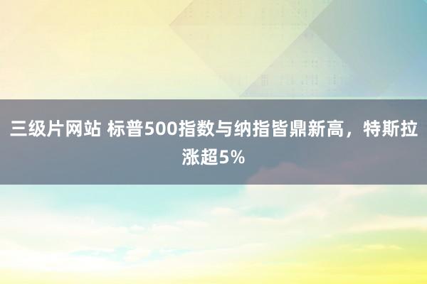 三级片网站 标普500指数与纳指皆鼎新高，特斯拉涨超5%