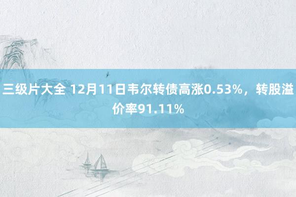 三级片大全 12月11日韦尔转债高涨0.53%，转股溢价率91.11%