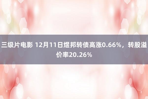 三级片电影 12月11日煜邦转债高涨0.66%，转股溢价率20.26%