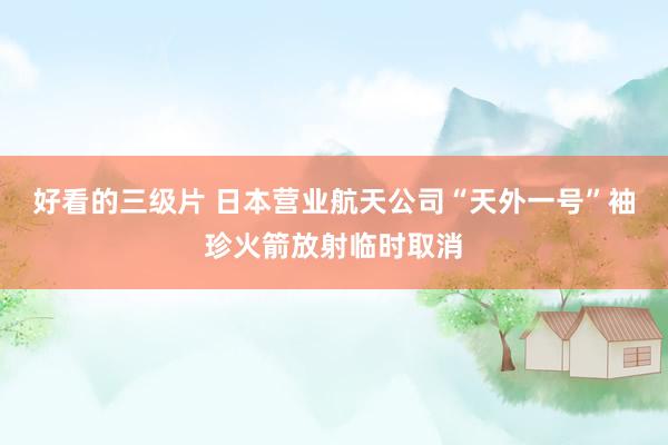 好看的三级片 日本营业航天公司“天外一号”袖珍火箭放射临时取消