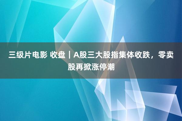 三级片电影 收盘｜A股三大股指集体收跌，零卖股再掀涨停潮