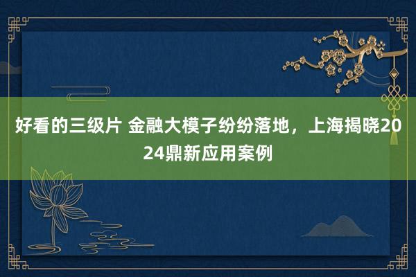 好看的三级片 金融大模子纷纷落地，上海揭晓2024鼎新应用案例