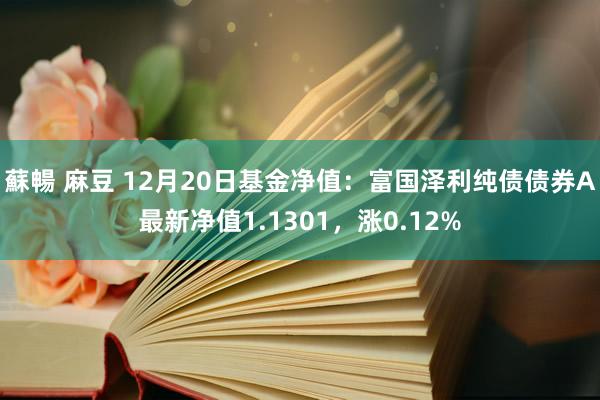 蘇暢 麻豆 12月20日基金净值：富国泽利纯债债券A最新净值1.1301，涨0.12%