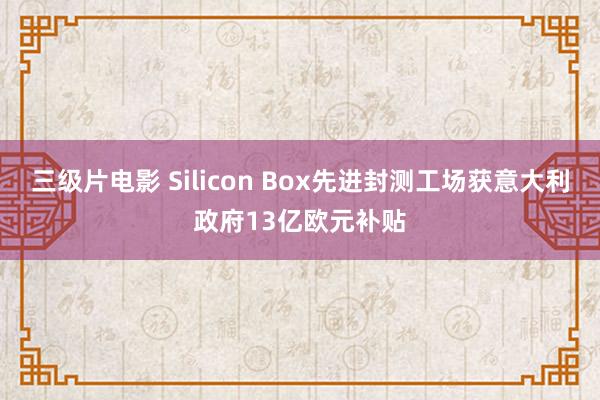 三级片电影 Silicon Box先进封测工场获意大利政府13亿欧元补贴