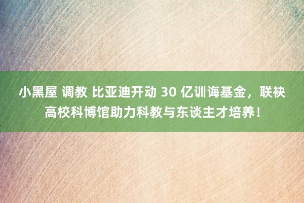 小黑屋 调教 比亚迪开动 30 亿训诲基金，联袂高校科博馆助力科教与东谈主才培养！