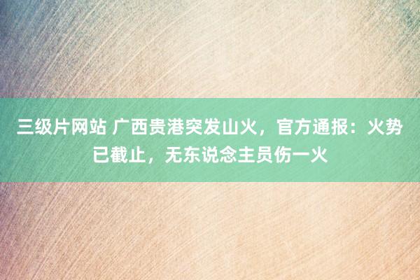 三级片网站 广西贵港突发山火，官方通报：火势已截止，无东说念主员伤一火