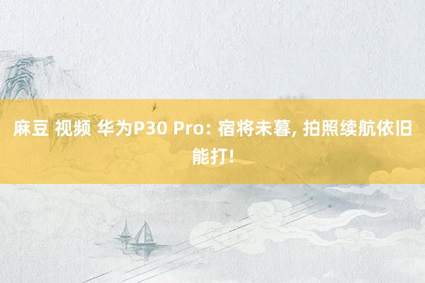 麻豆 视频 华为P30 Pro: 宿将未暮， 拍照续航依旧能打!