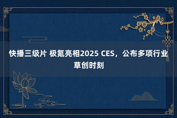 快播三级片 极氪亮相2025 CES，公布多项行业草创时刻