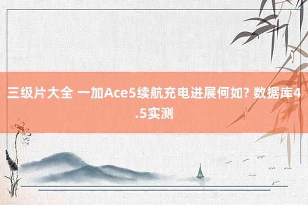 三级片大全 一加Ace5续航充电进展何如? 数据库4.5实测