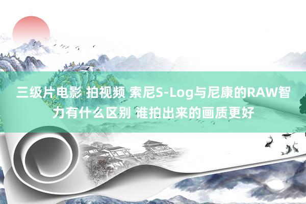 三级片电影 拍视频 索尼S-Log与尼康的RAW智力有什么区别 谁拍出来的画质更好