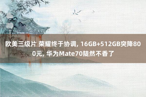 欧美三级片 荣耀终于协调， 16GB+512GB突降800元， 华为Mate70陡然不香了