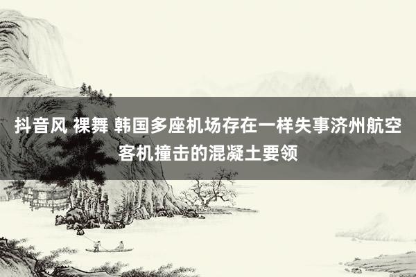 抖音风 裸舞 韩国多座机场存在一样失事济州航空客机撞击的混凝土要领