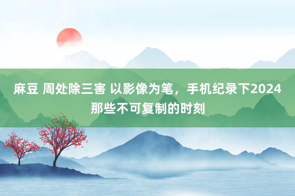 麻豆 周处除三害 以影像为笔，手机纪录下2024那些不可复制的时刻