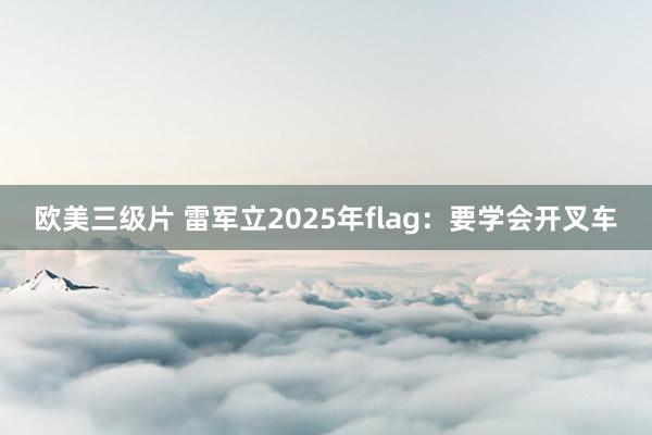 欧美三级片 雷军立2025年flag：要学会开叉车